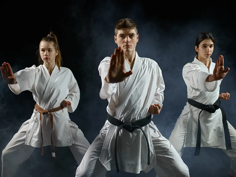 Karate eğitimi
